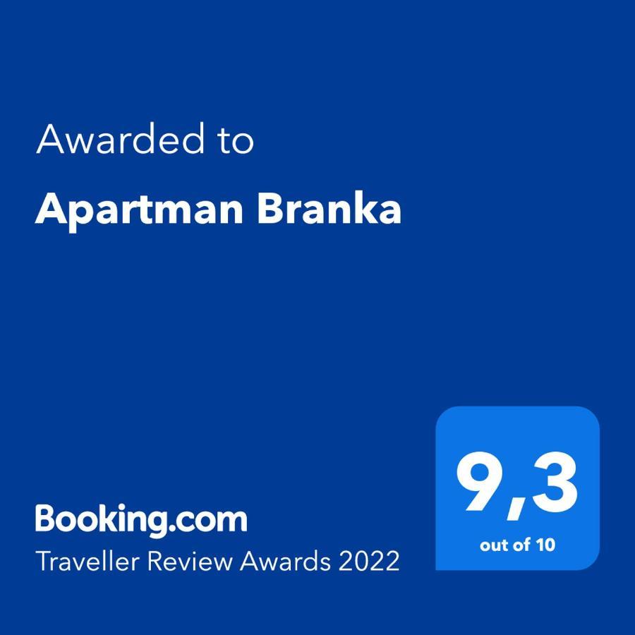 Apartman Branka ラビン エクステリア 写真